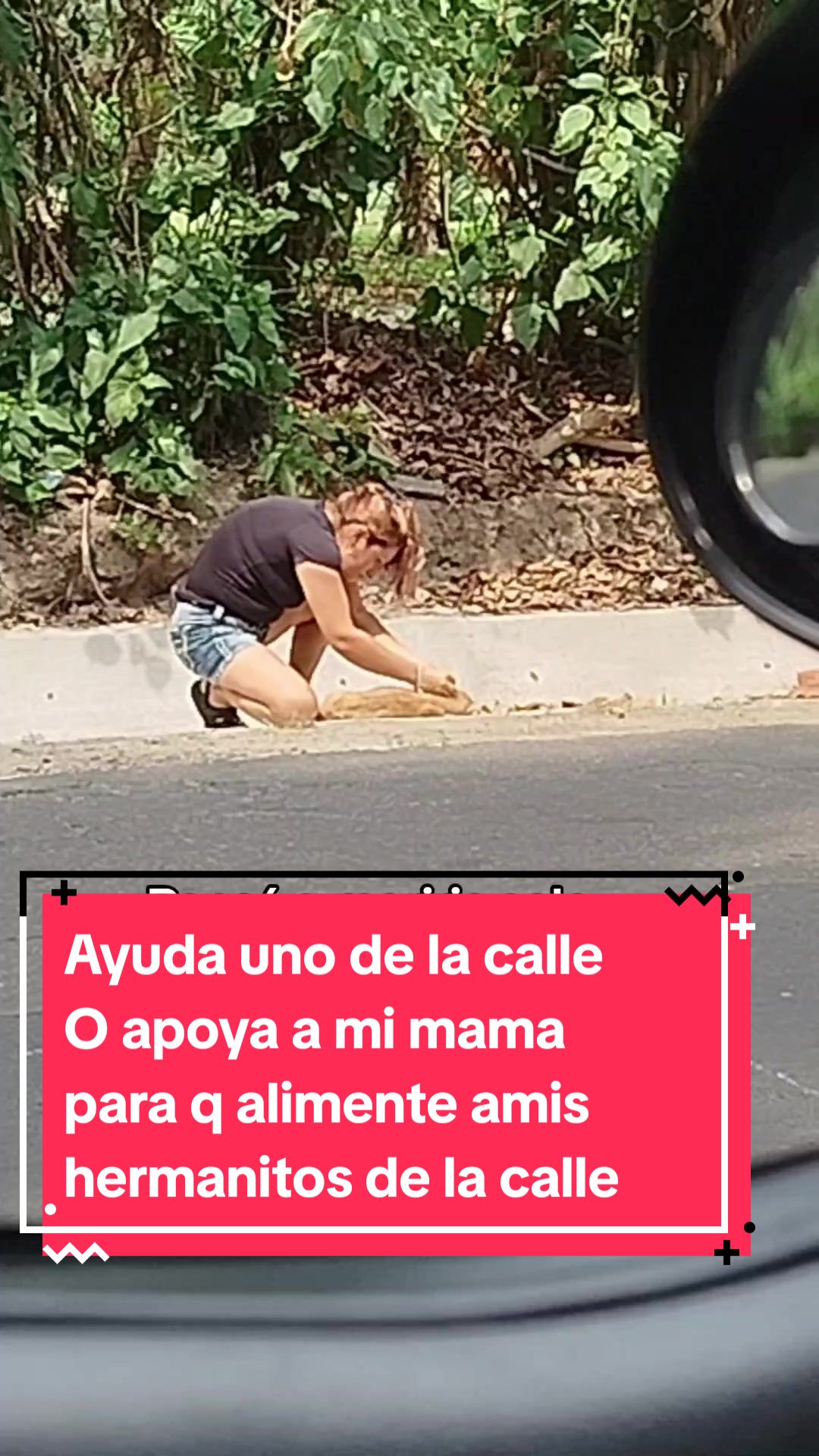 @ayudando perritos