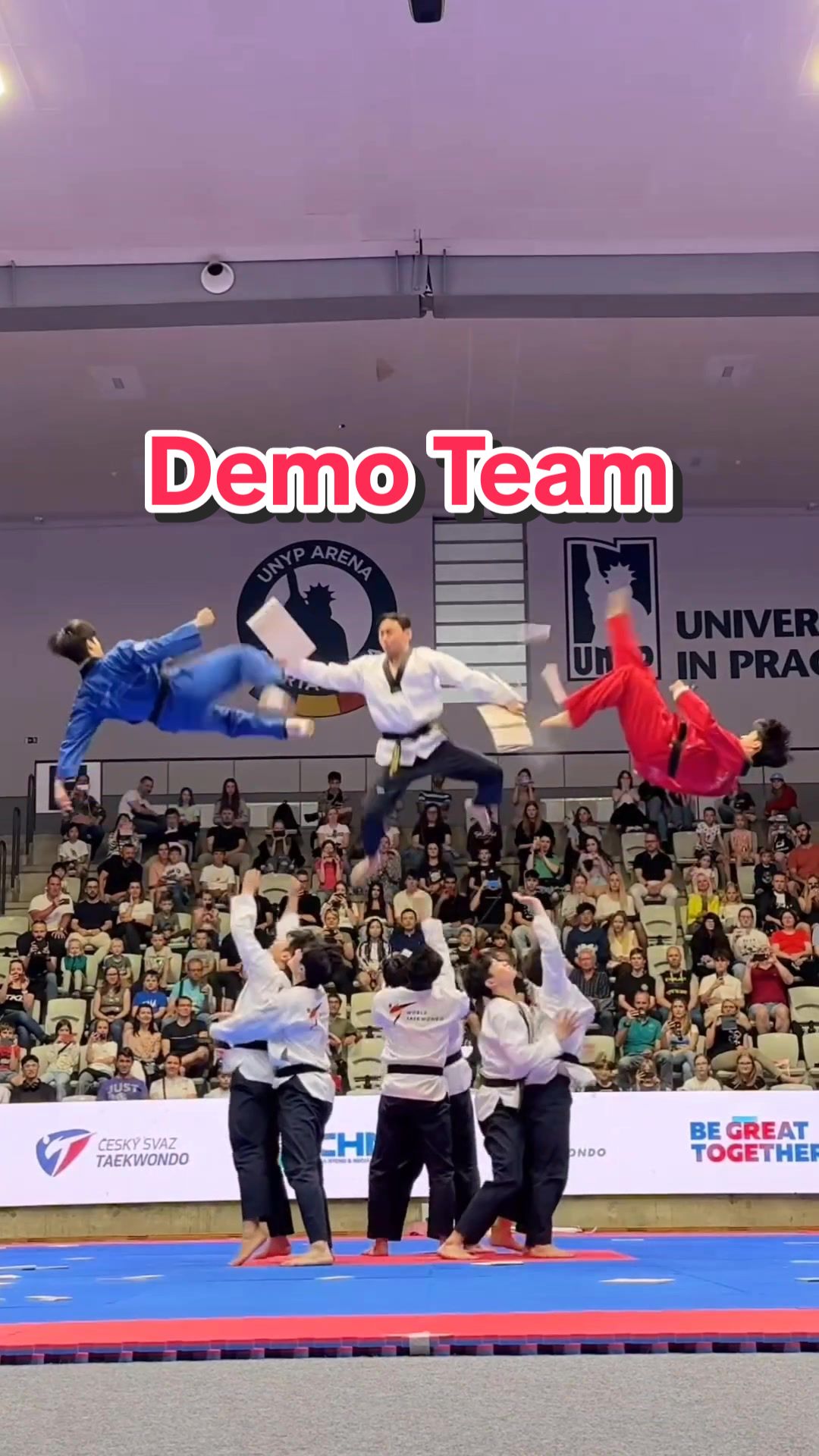 @Taekwondo Content Creator