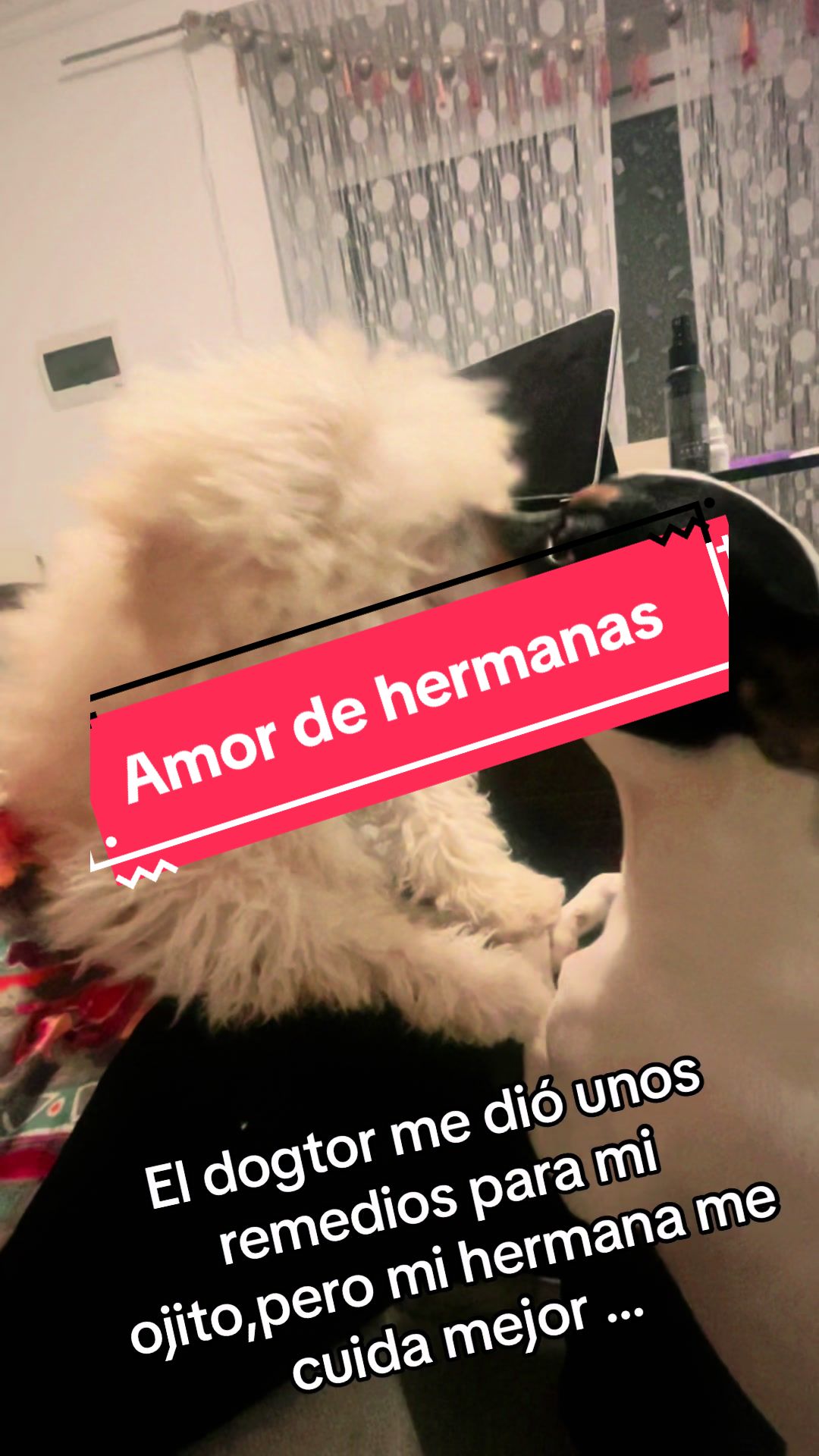@tefydroguett