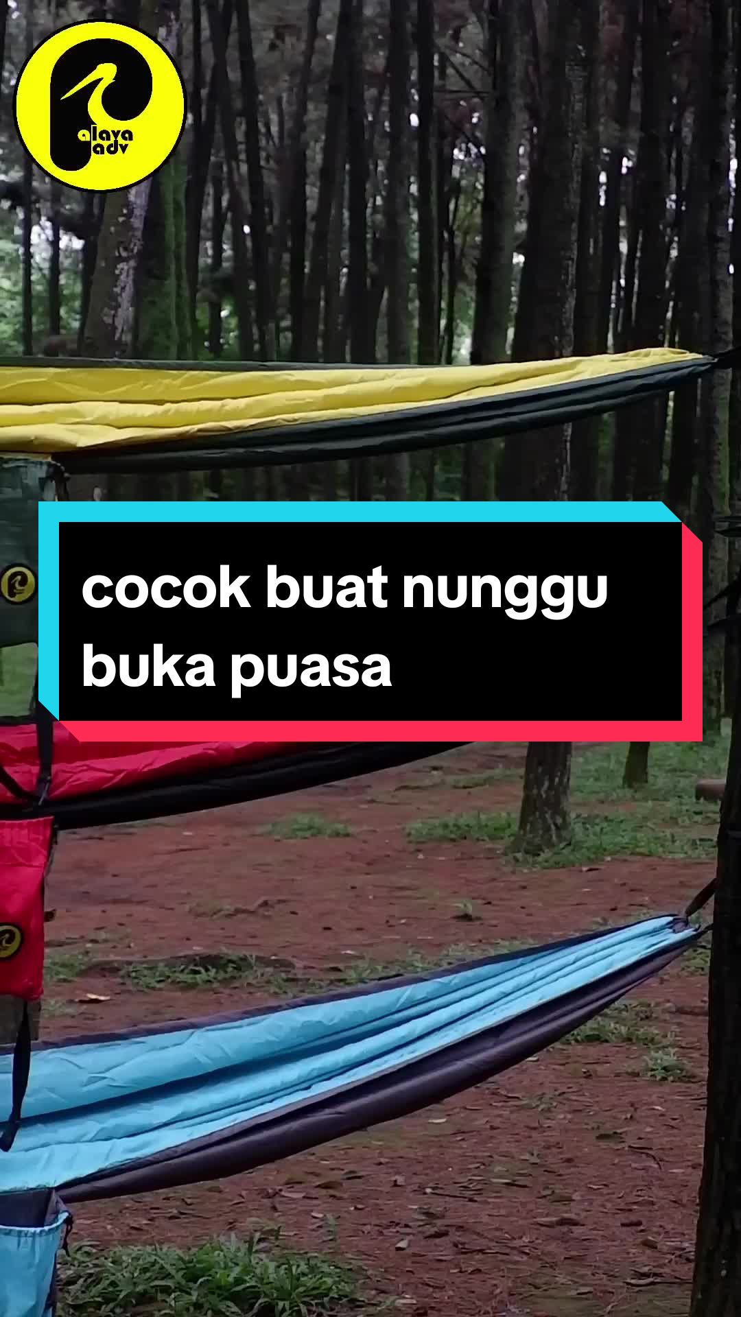 @palava adv