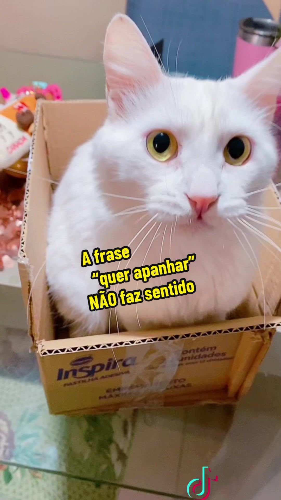 @𝒫𝑒𝓉𝓉𝑒𝓇 ♡