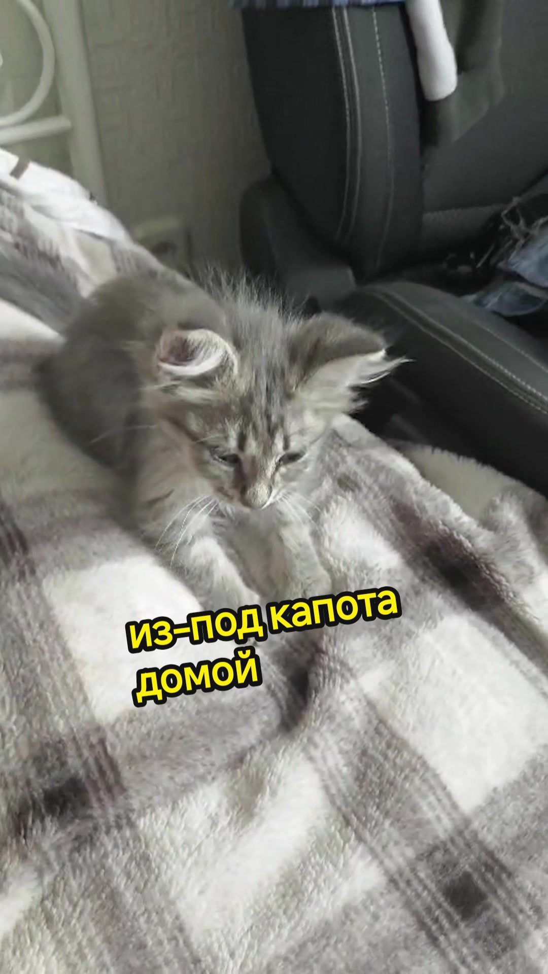 @Баст / Баста / Бася