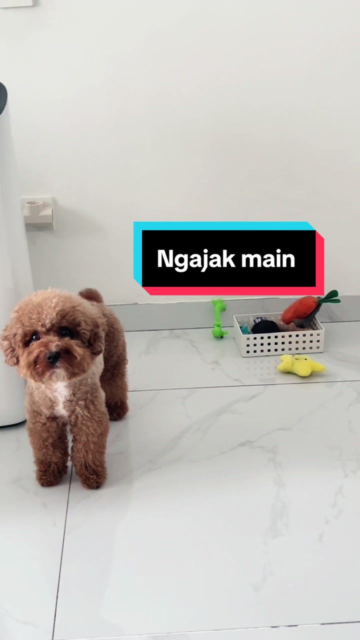 @moou
