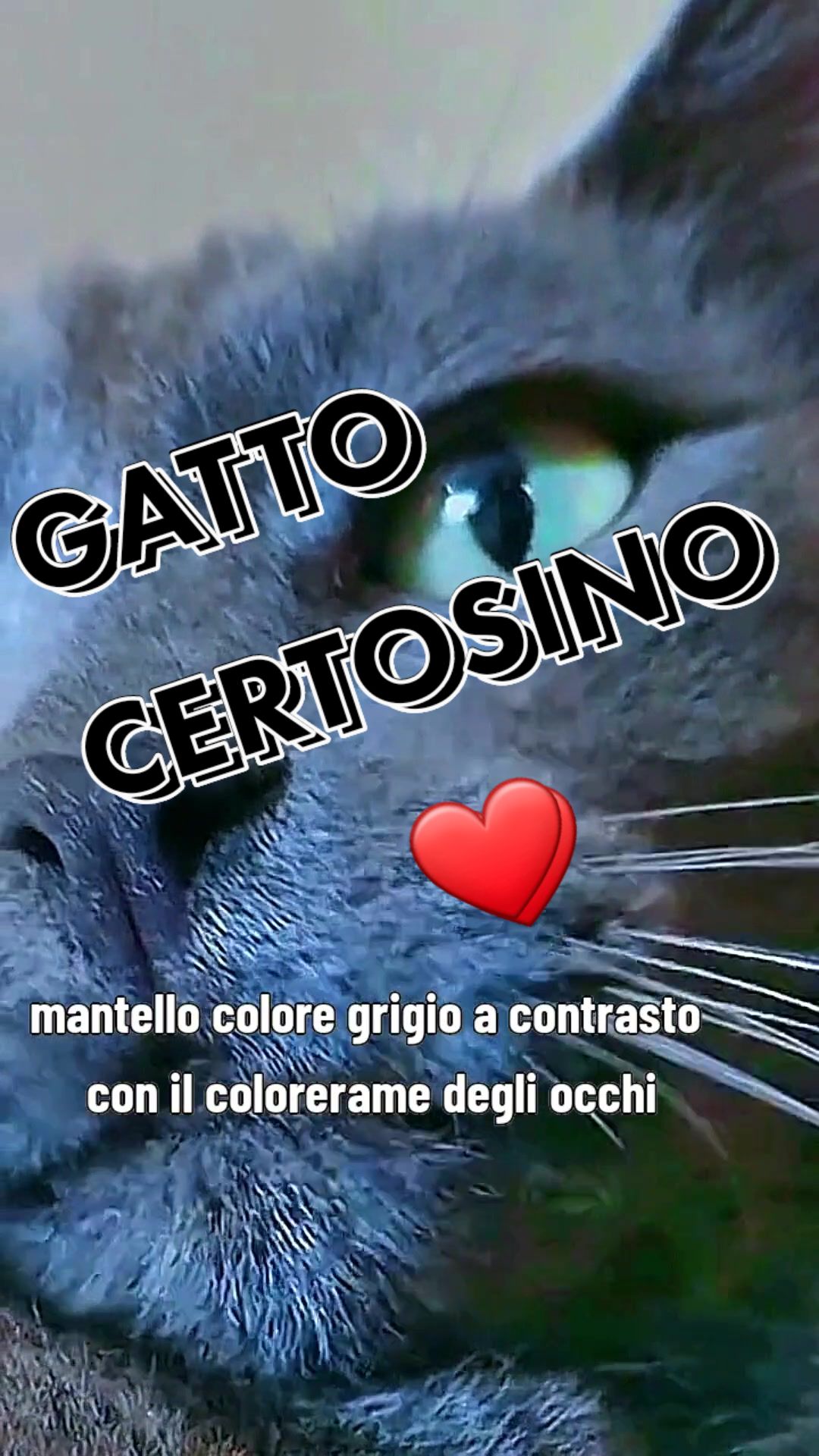 @valter_om