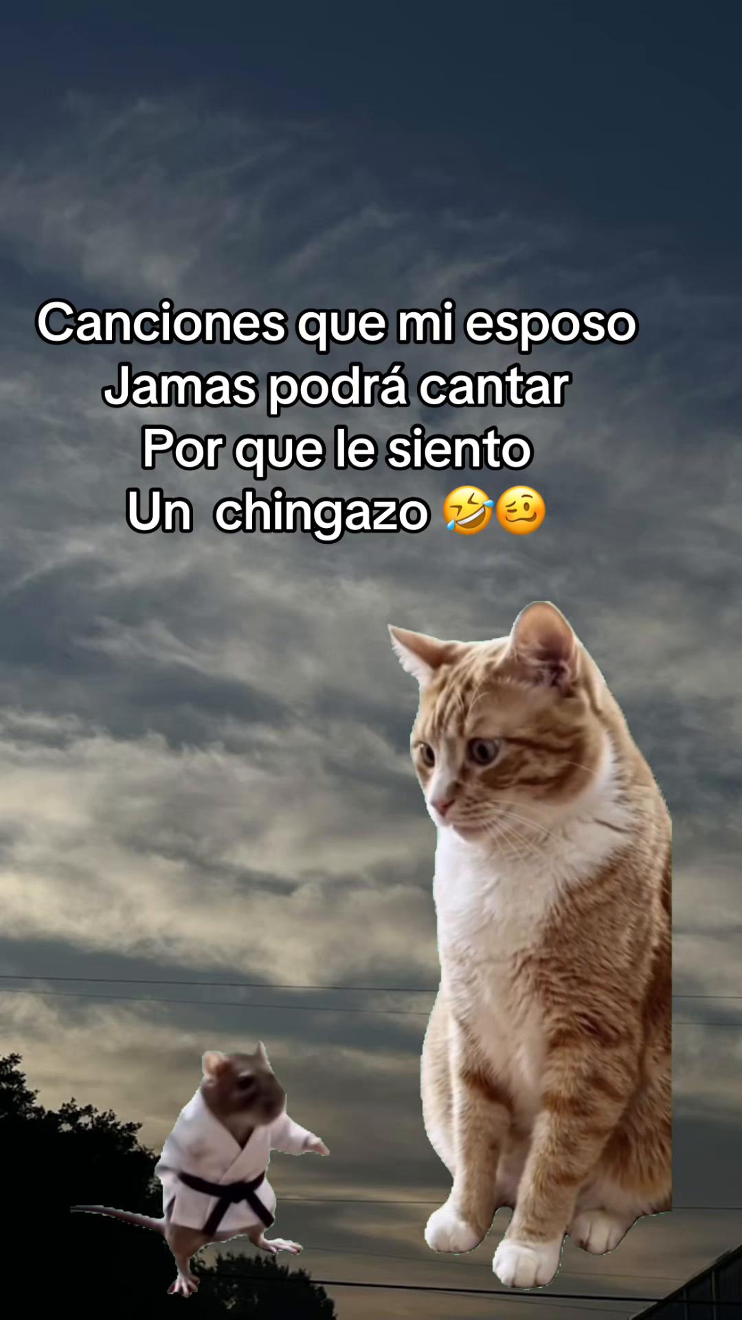 @𝓐𝓵𝓲𝓬𝓮 𝓖'👩&zwj;🍳🍪🦋☘️