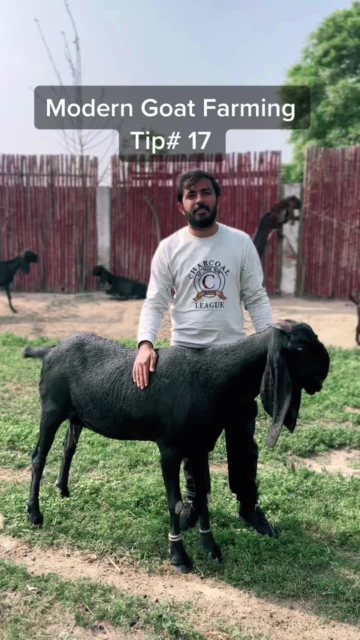 @ZA Farms