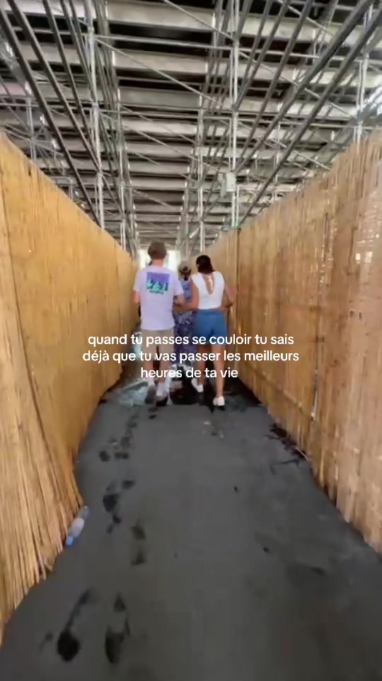 @itsmarydsv