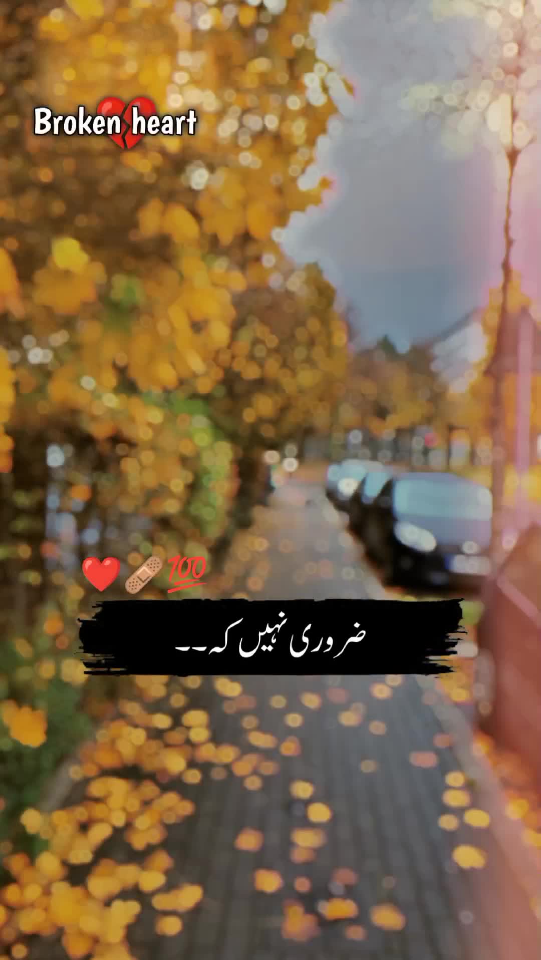 @🍂سرورِ عشق🫀