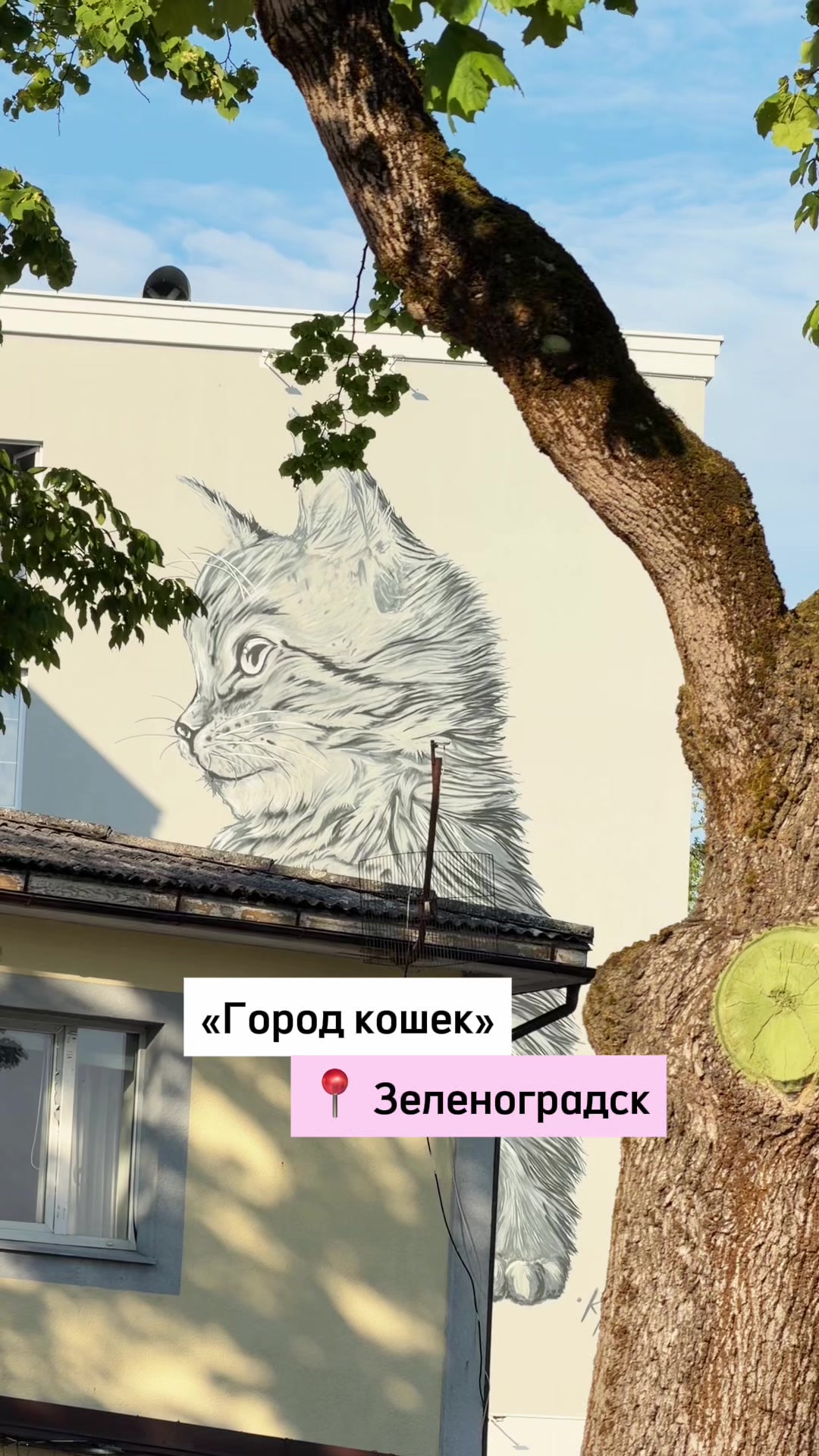 @Вика Петрова