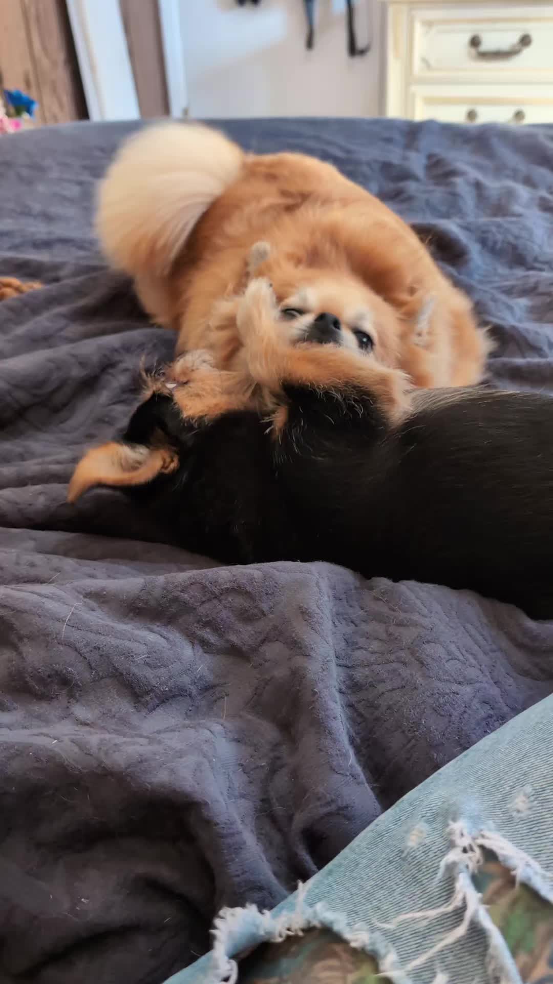 @Rux