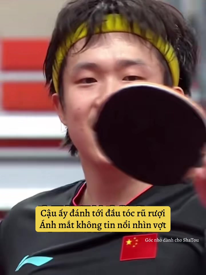 @Góc nhỏ dành cho ShaTou🦁🦈❤️