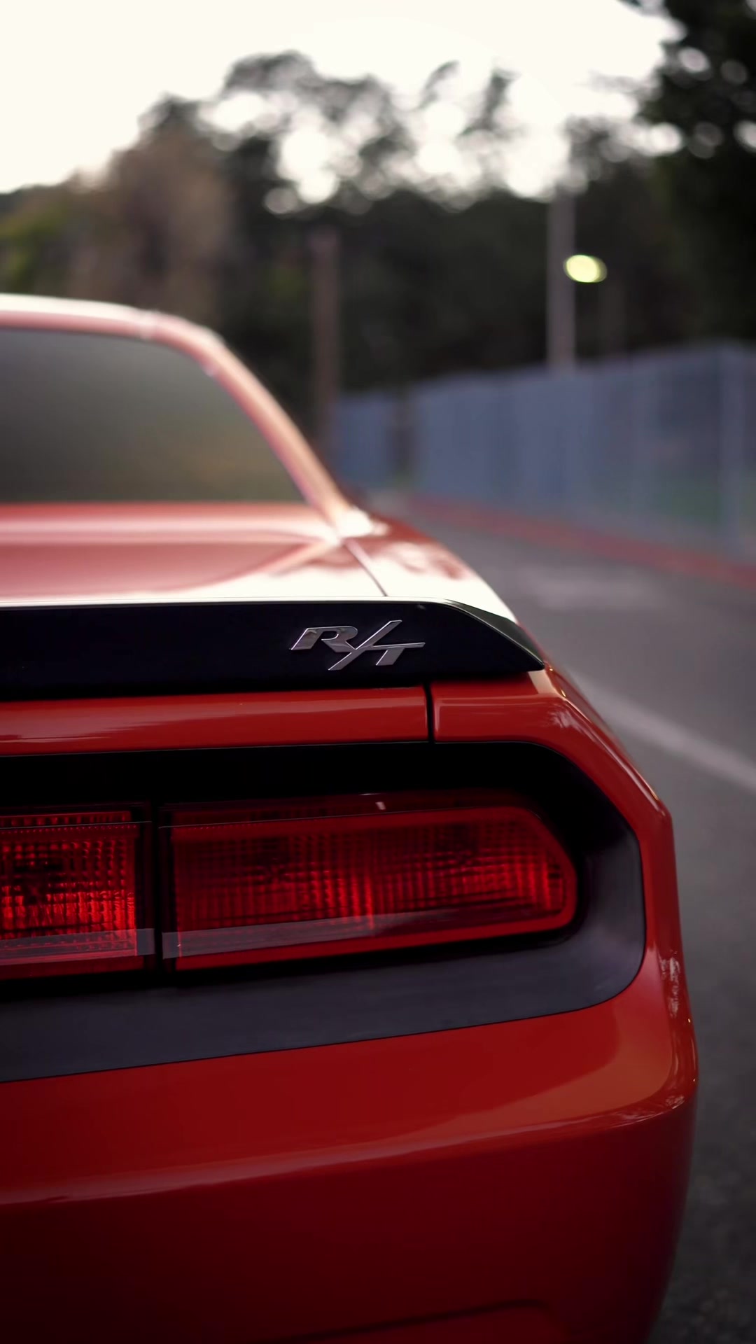 @HailsRt 🩶