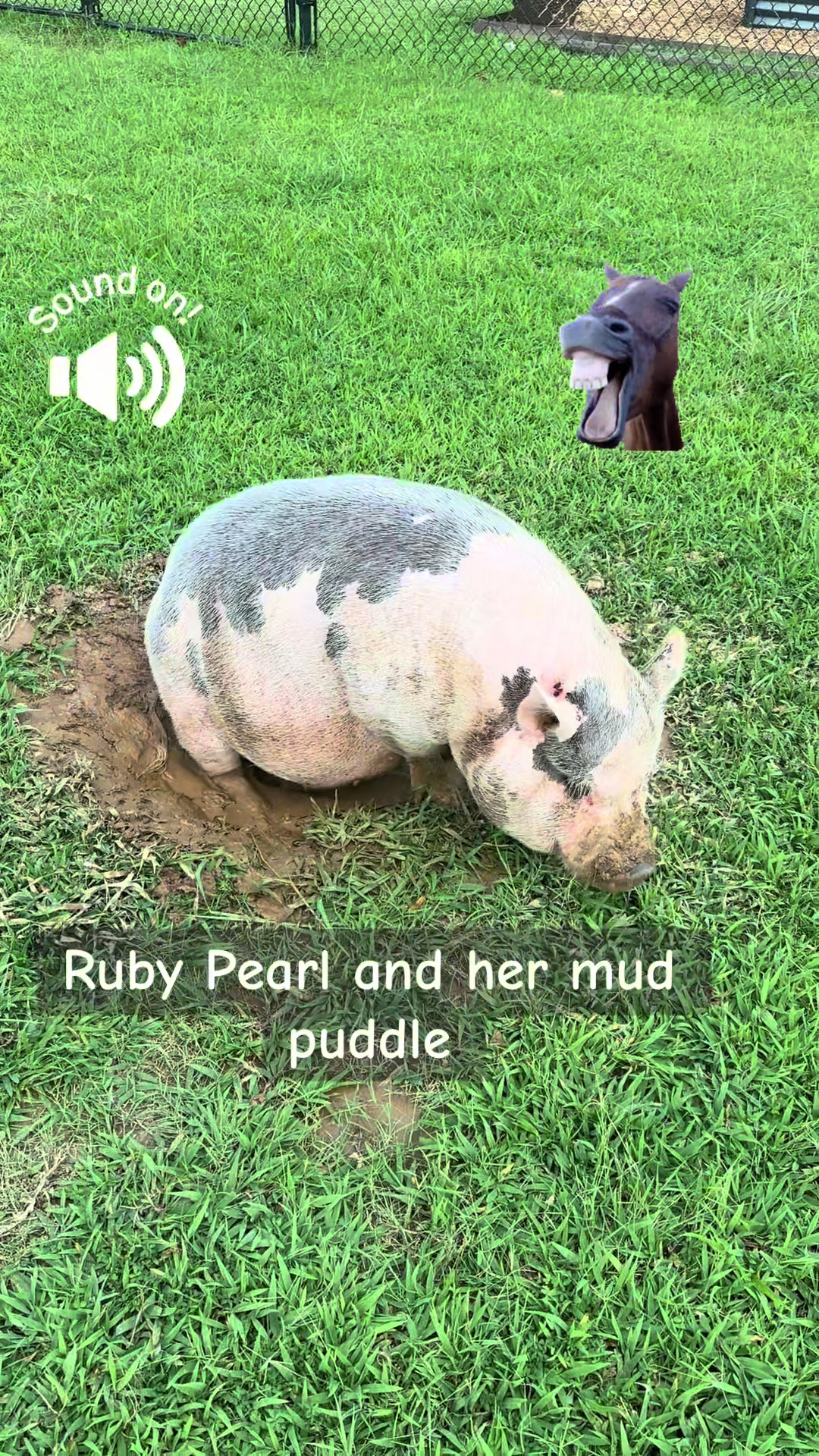 @Ruby Pearl