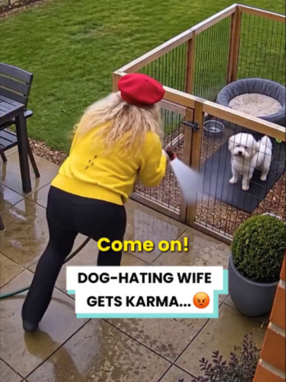 @Go Fetch