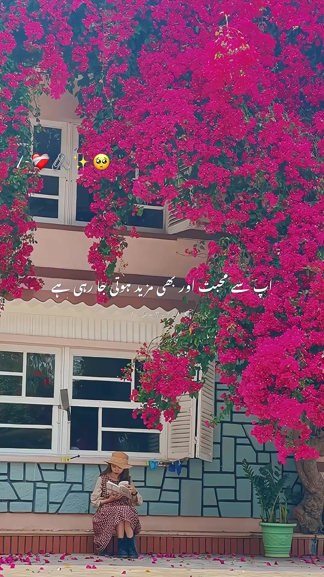 @𓆩🖤𓆪