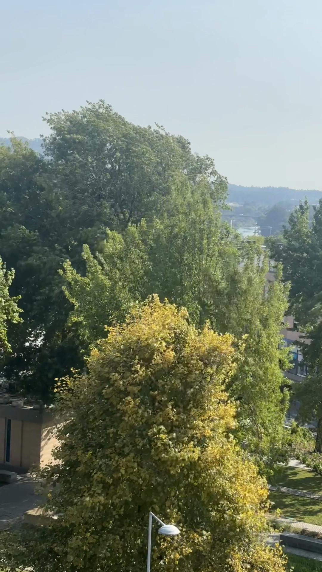@🇧🇷 ♎️Leandro Karioka 🇵🇹✡️