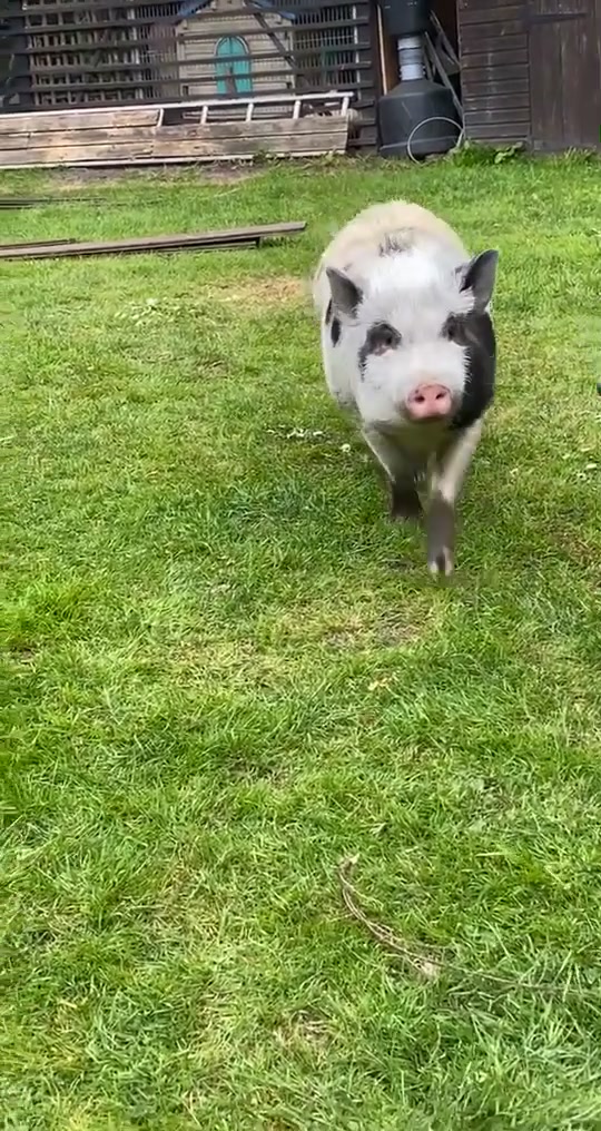 @jamie.clarke77