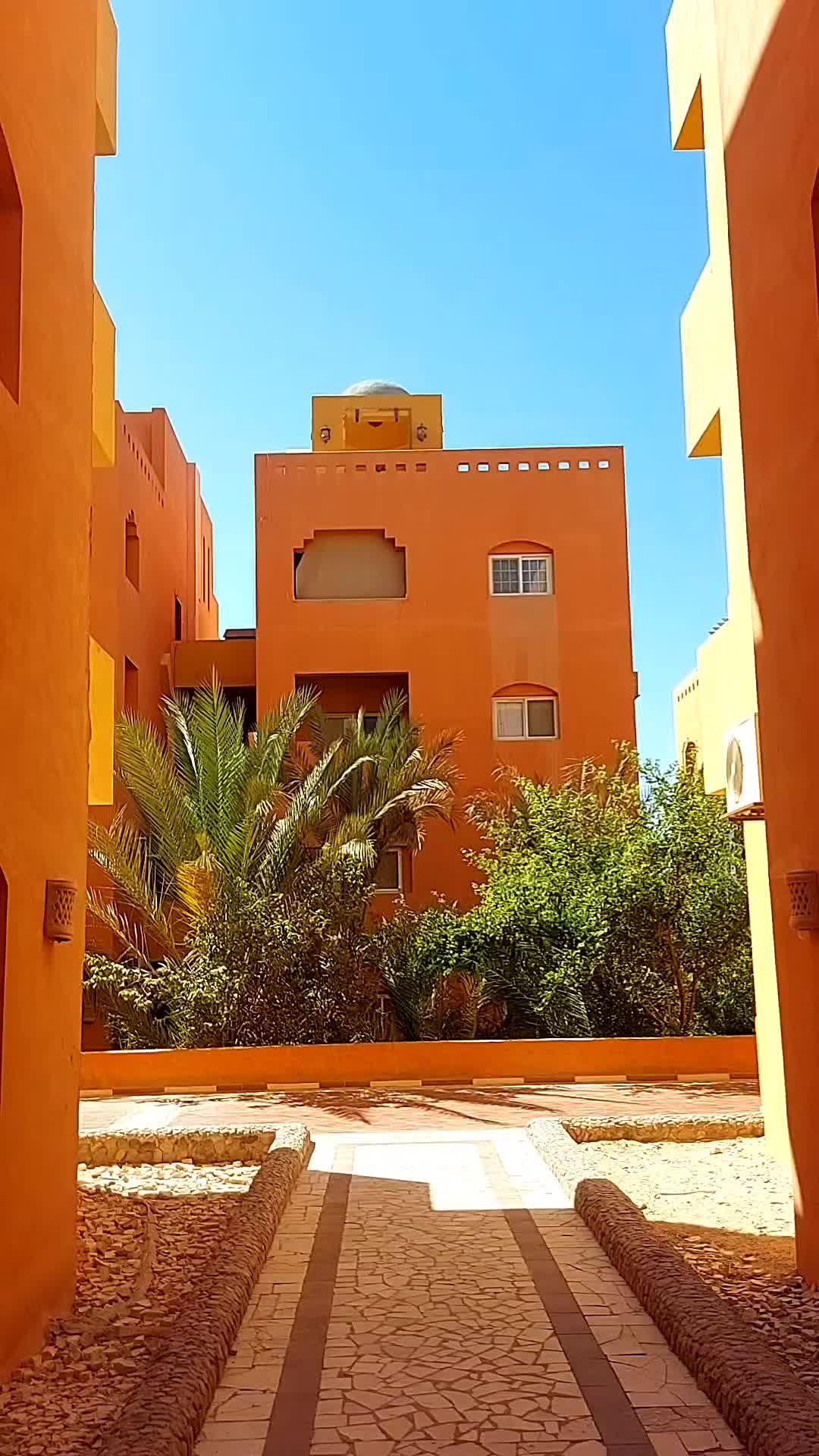 @Denisa &Scaron;arisk&aacute; 🇨🇿&🇪🇬