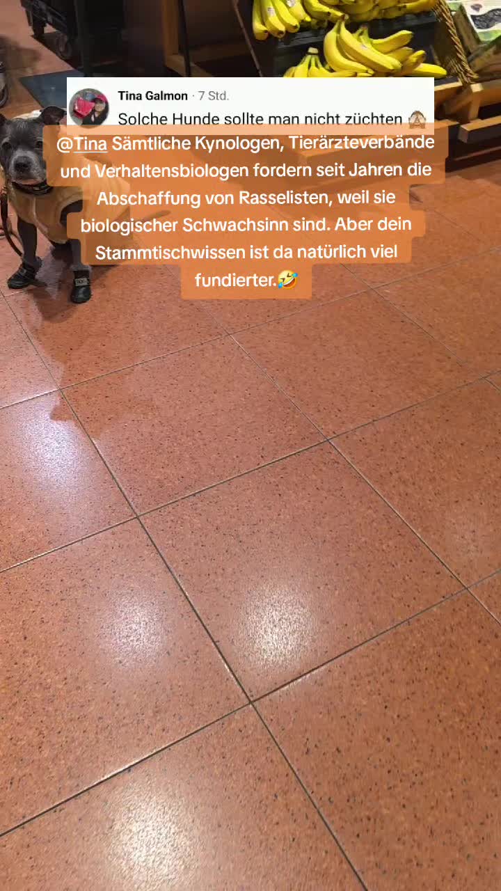 @Zara Alukanija Kiyomi 🐕🐾
