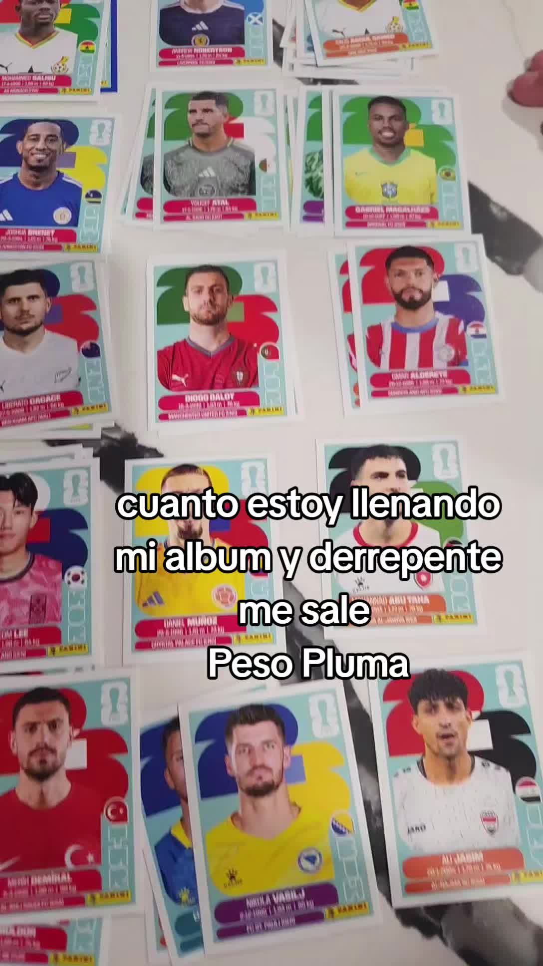 @Bustillos Jazmin