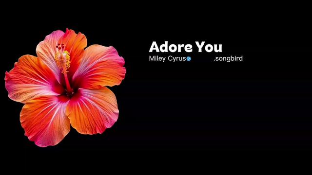 @Song Bird🎧