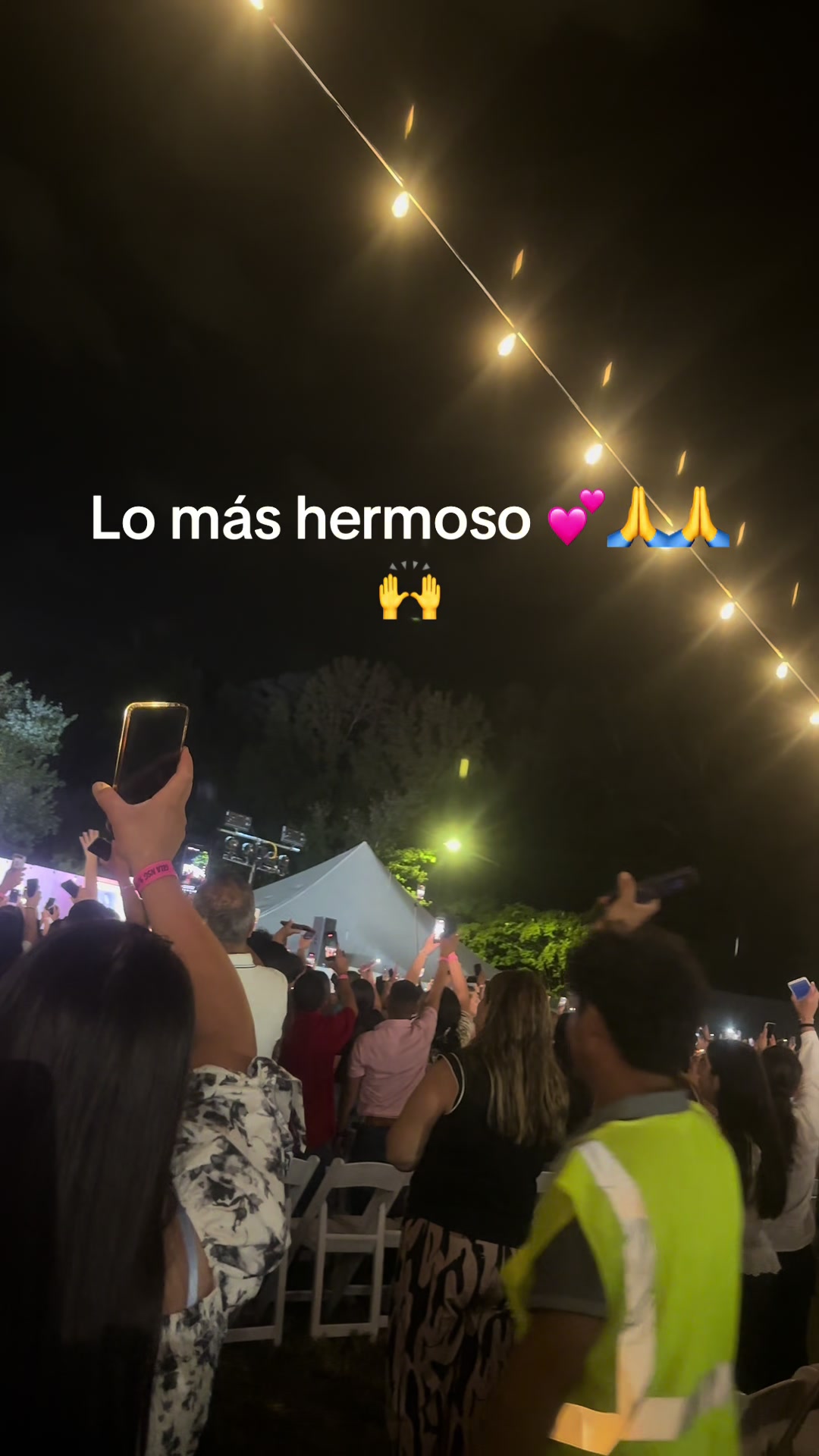 @deniapineda655_G🐊