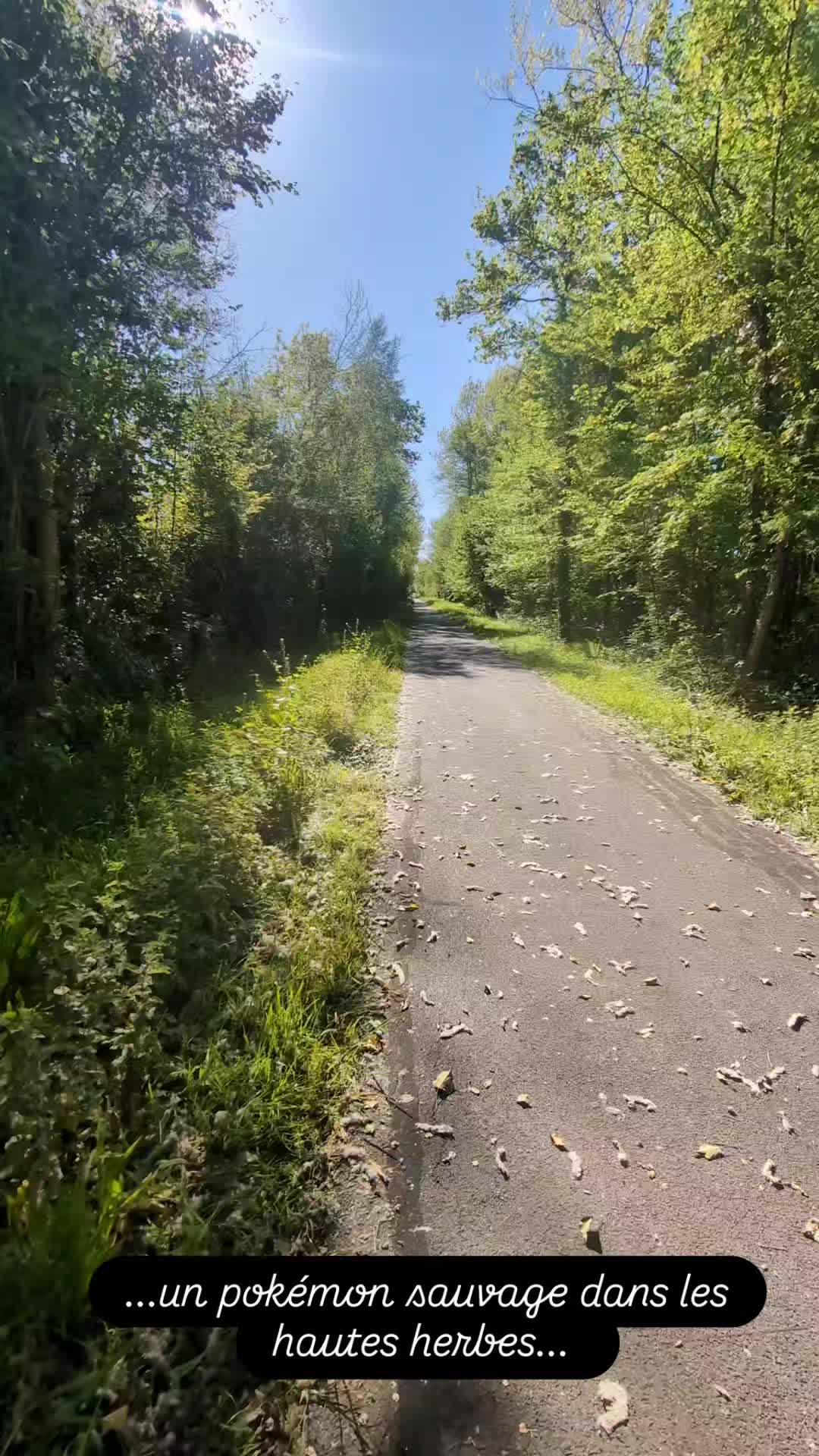 @Elevage idyllesdeladéesseNeith