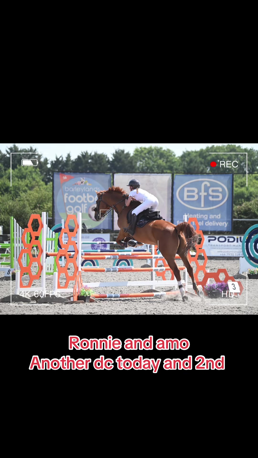 @Ronnie moore's showjumping