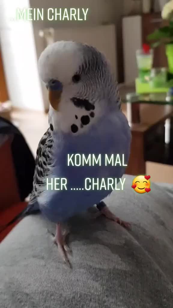 @...na ich