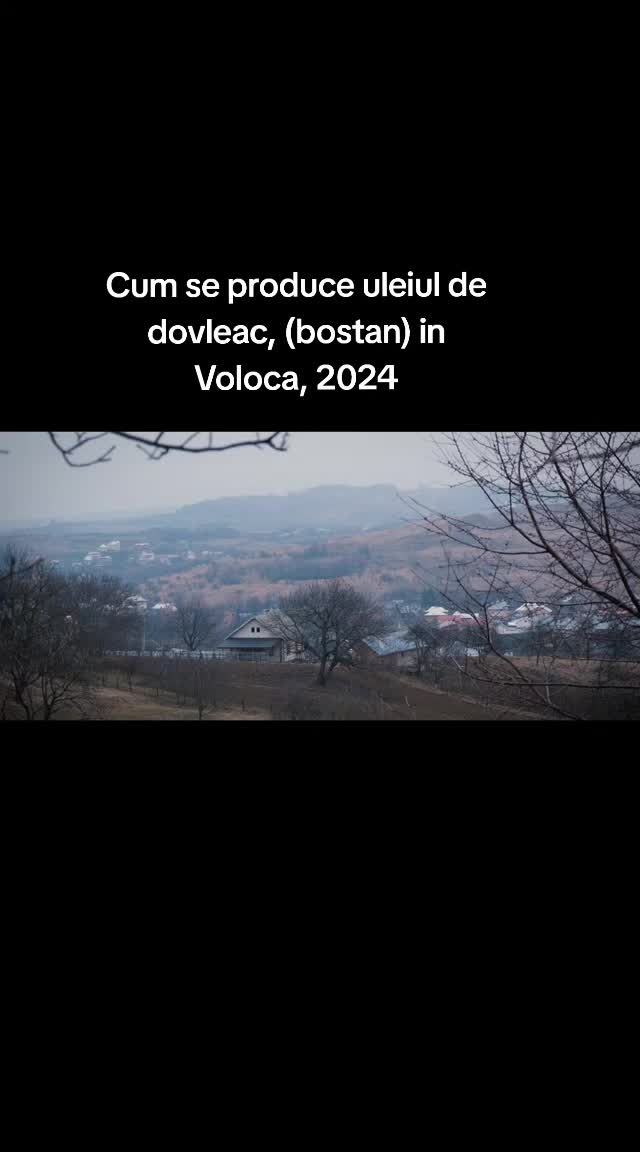 @Amintiri-Voloca