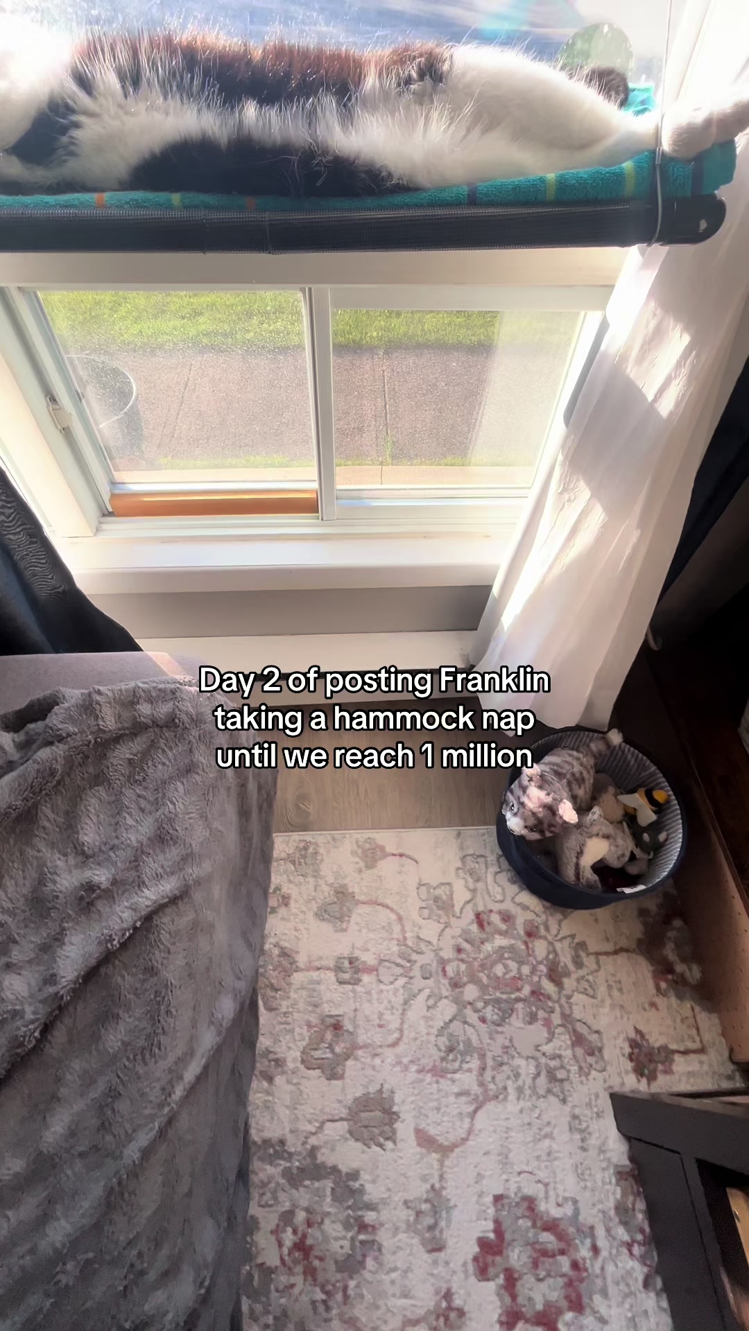 @Frontpaigenews