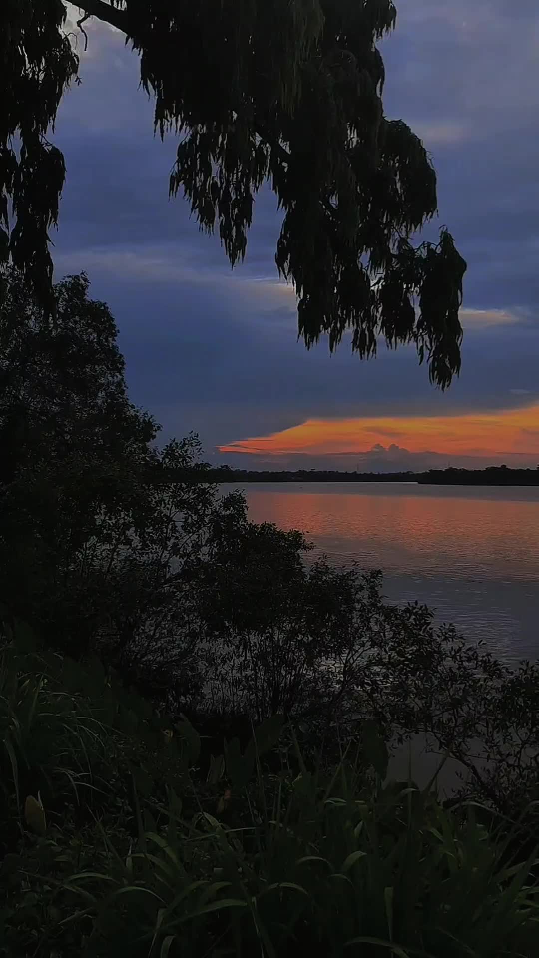 @dolifikri02