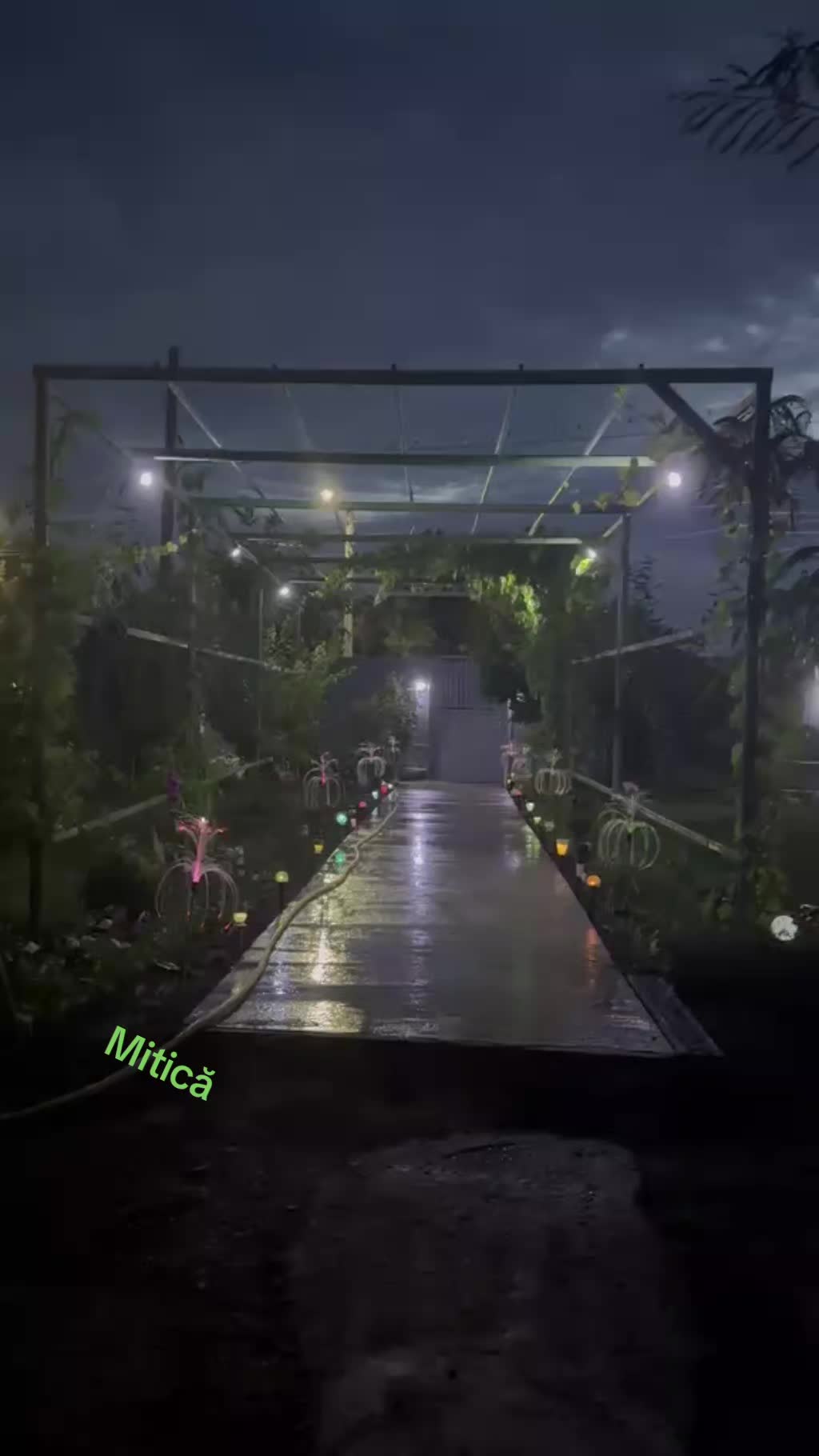 @Mitică