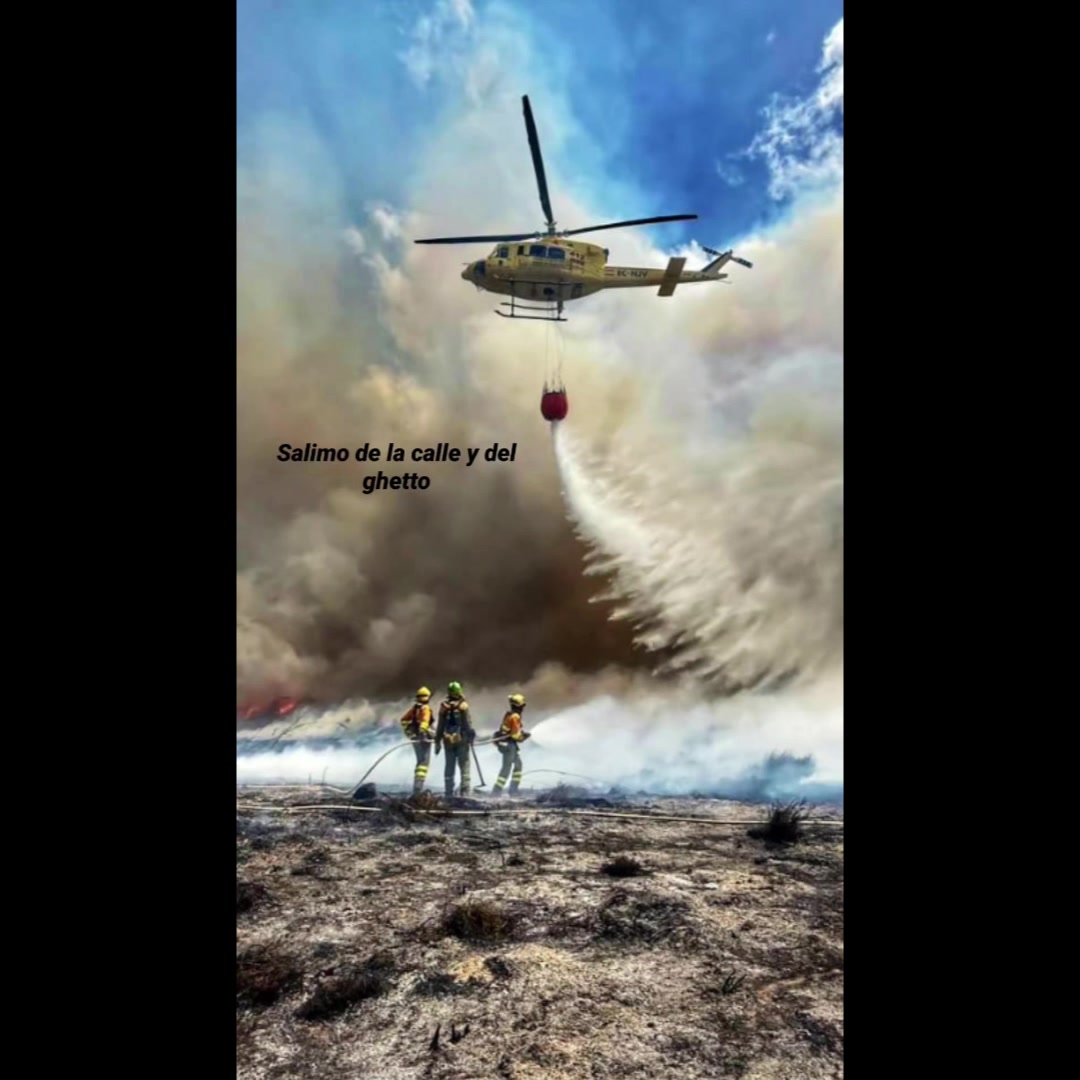 @Bombero Forestal