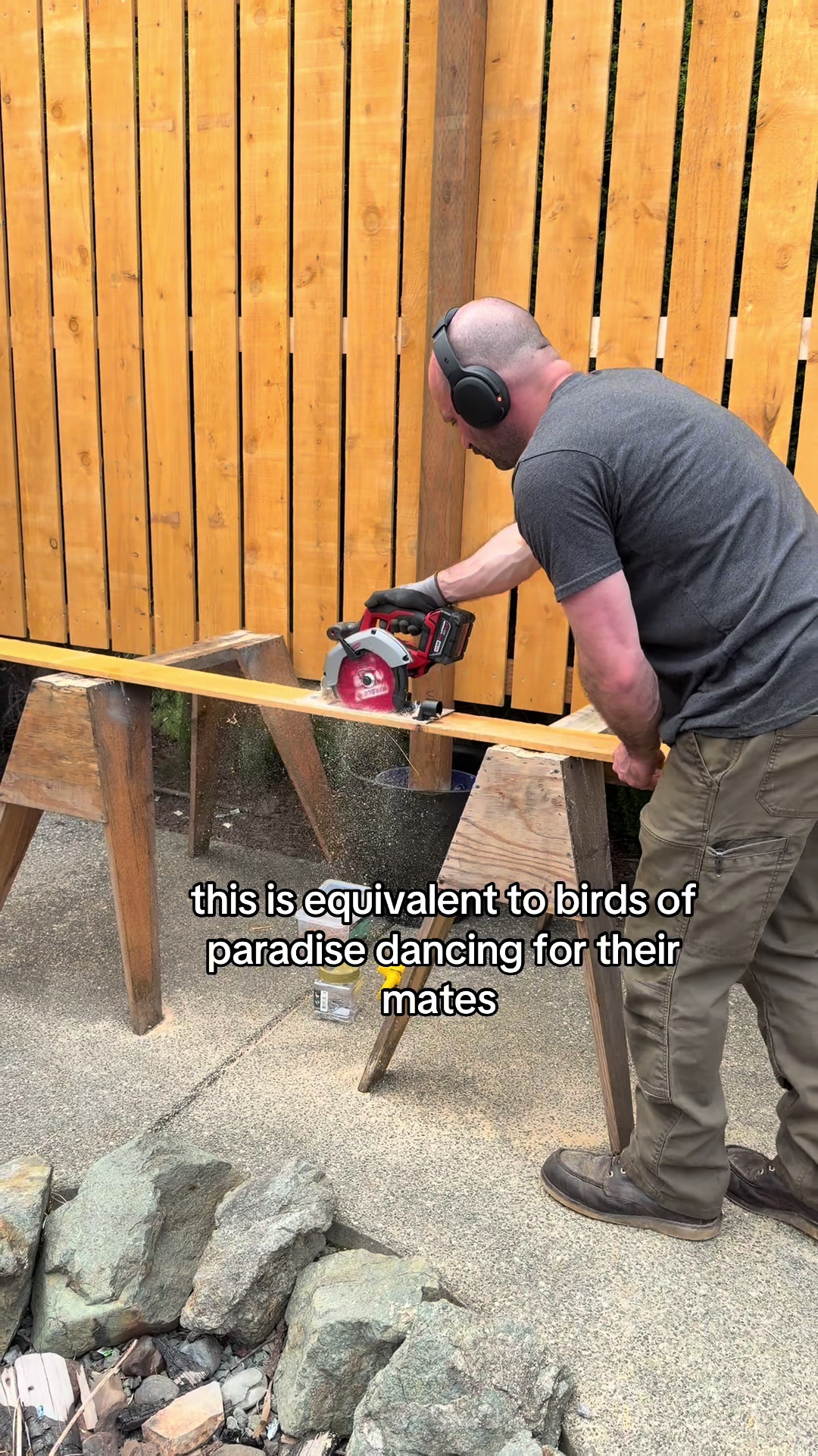@Ninaohlala 🌿