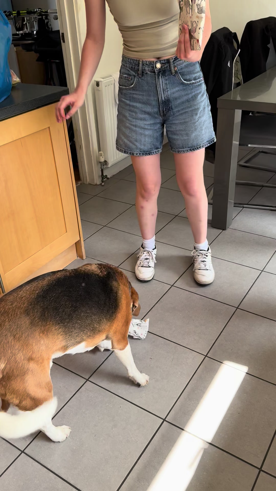 @Neo_The_Beagle