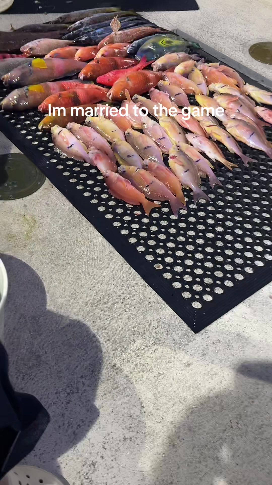 @cutt858