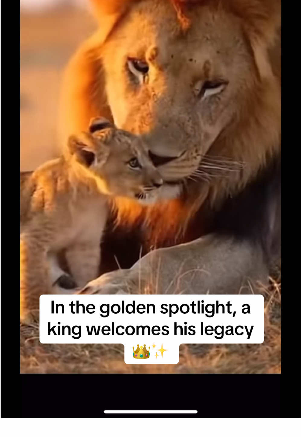 @KJ@LoveAnimalsEpicNature