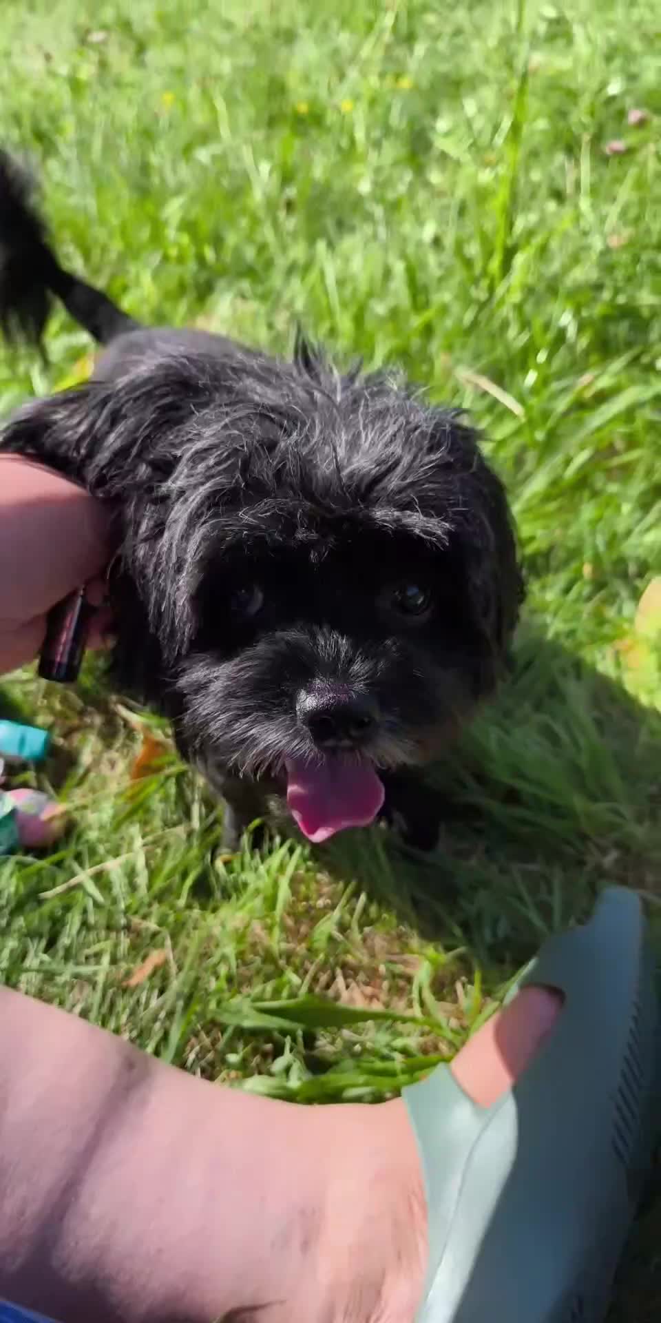 @🐦Eva Maria Vráblíková 🐕