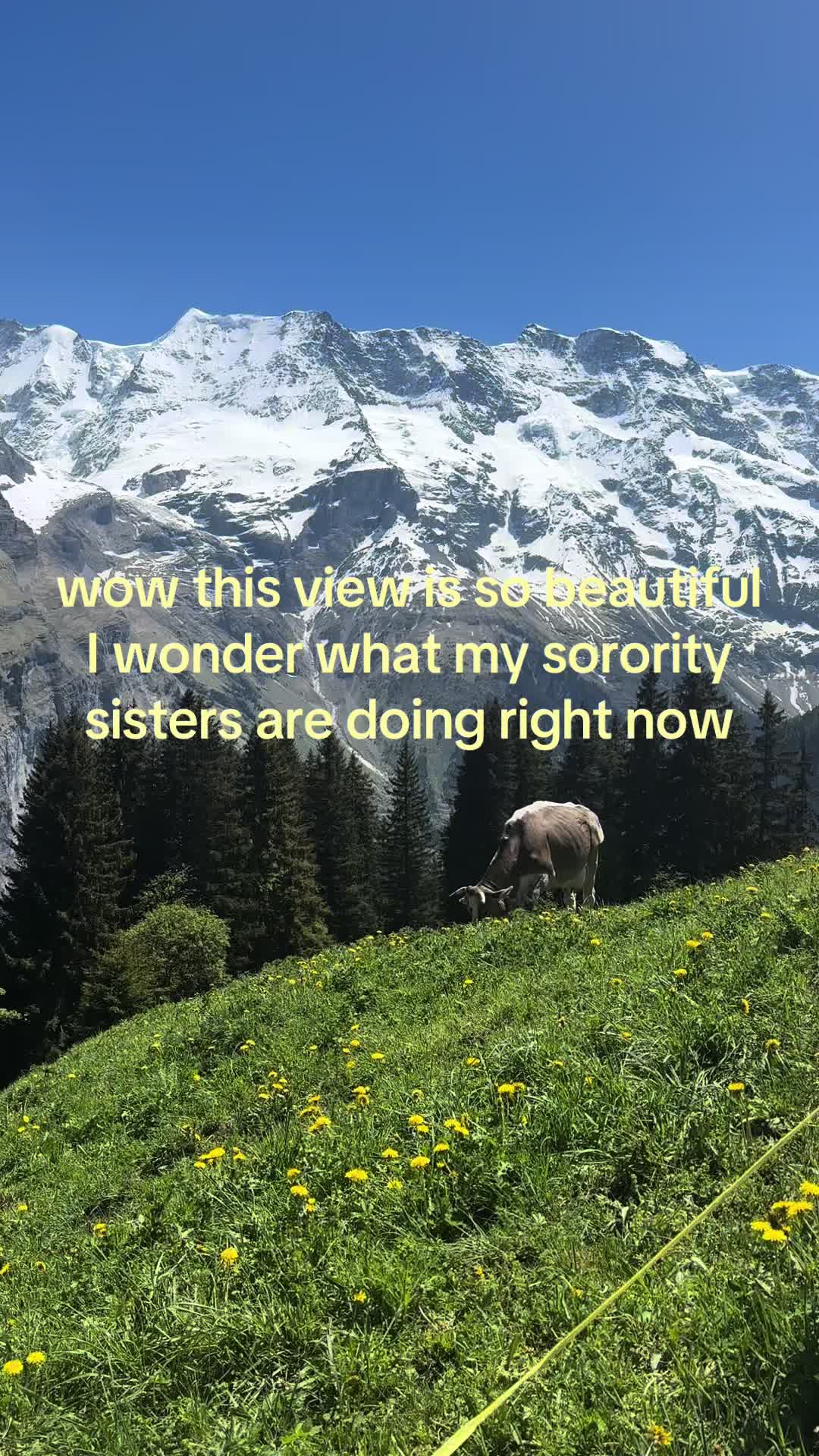 @UCONN DELTA ZETA
