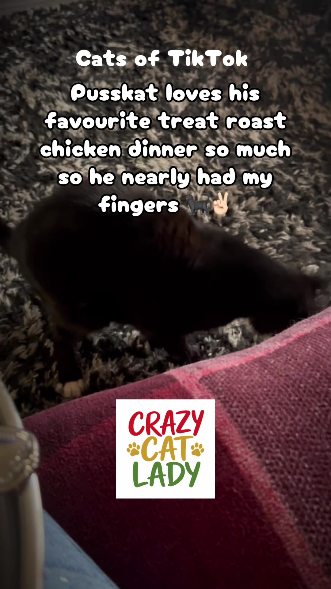 @crazycatladyxfour