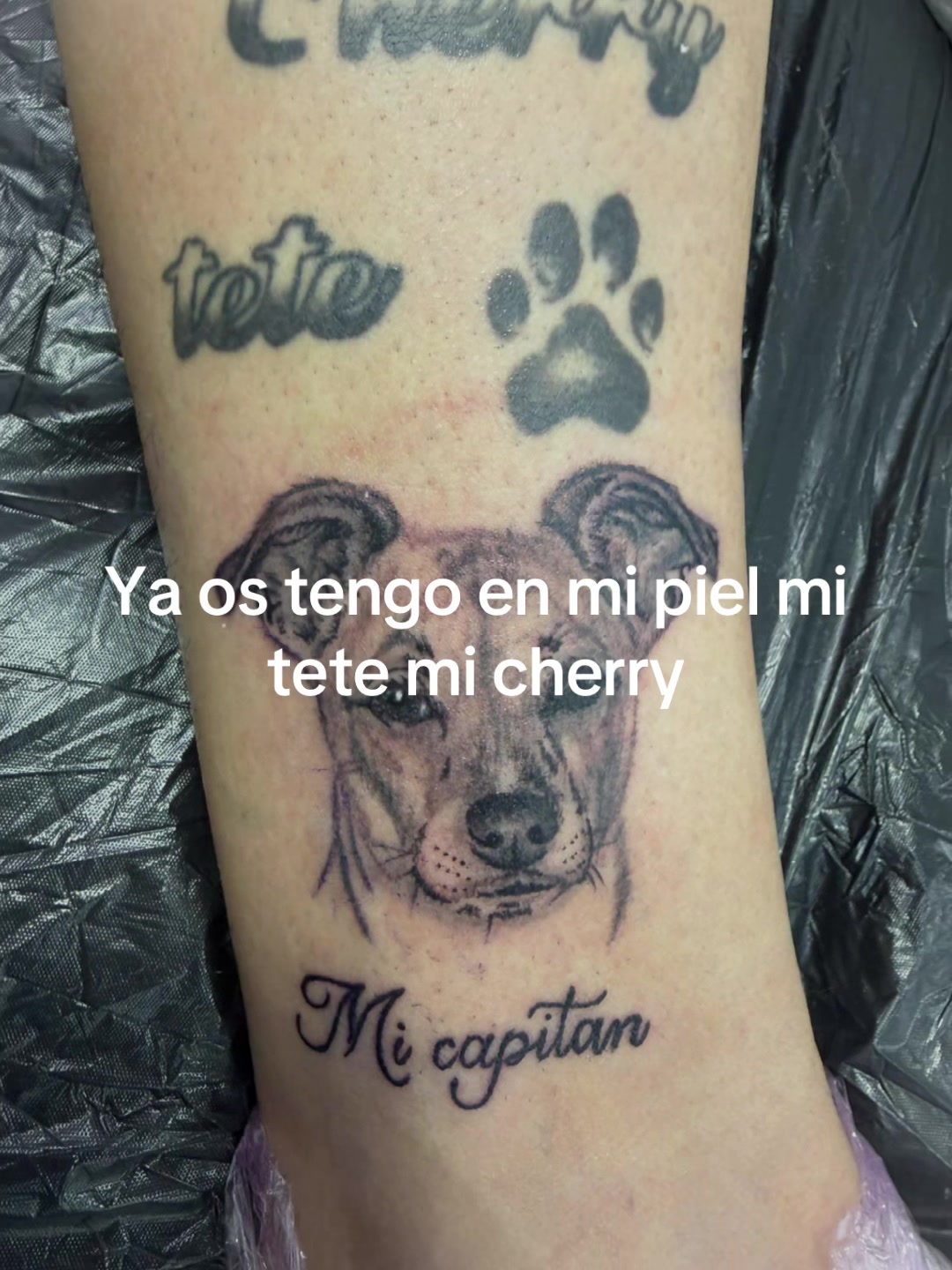 @Santisp