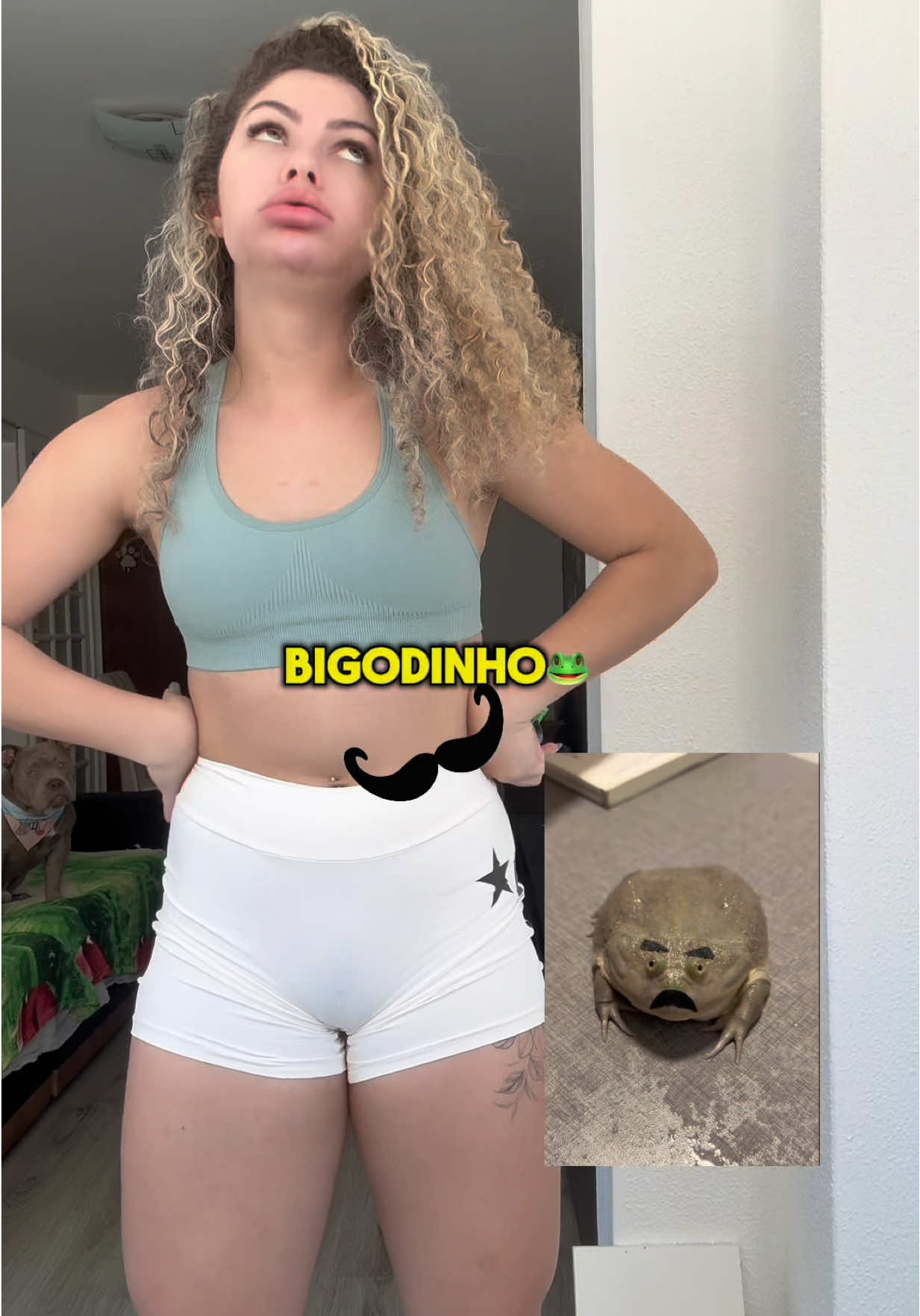 @Danimottaoficial
