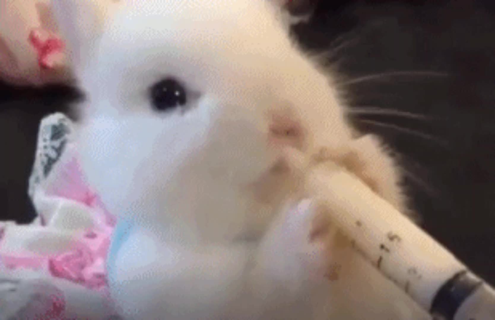 @bunni