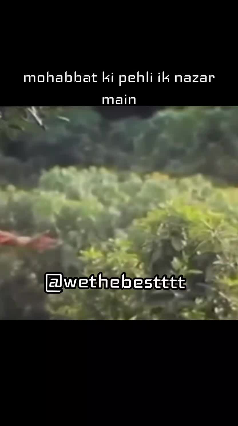 @wethebestttt