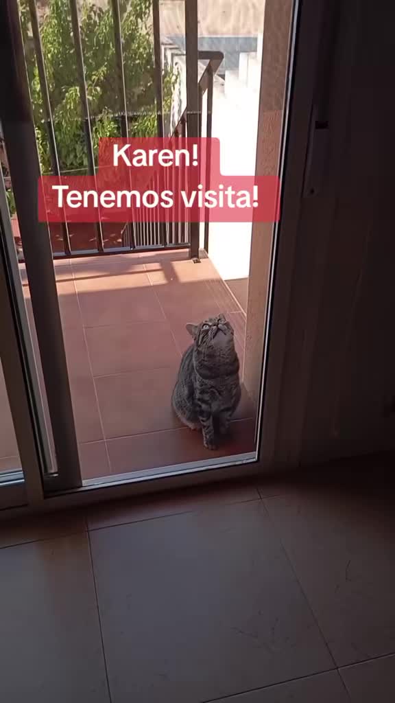 @Rosi Ramos