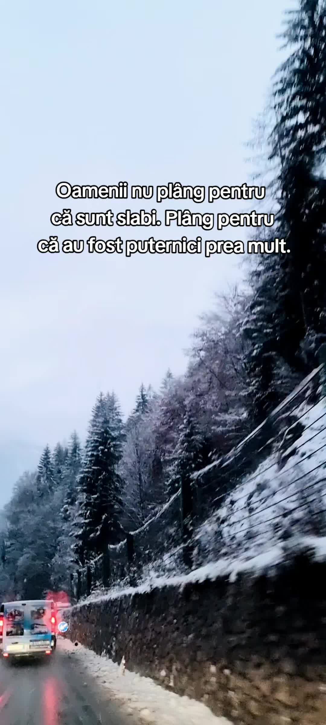 @𝒯𝒶𝓃ℯ𝒶🤍