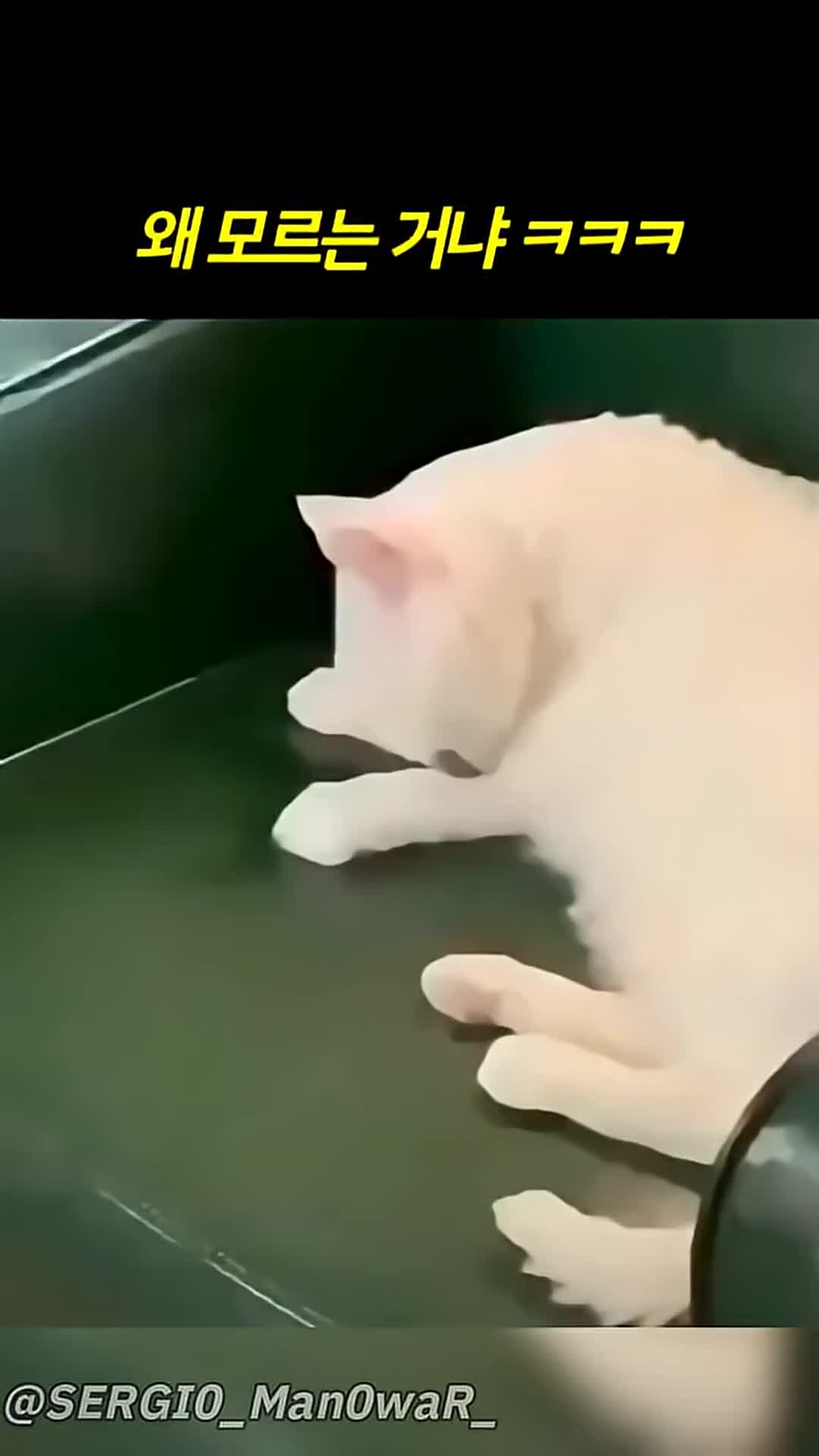 @pateckFunny