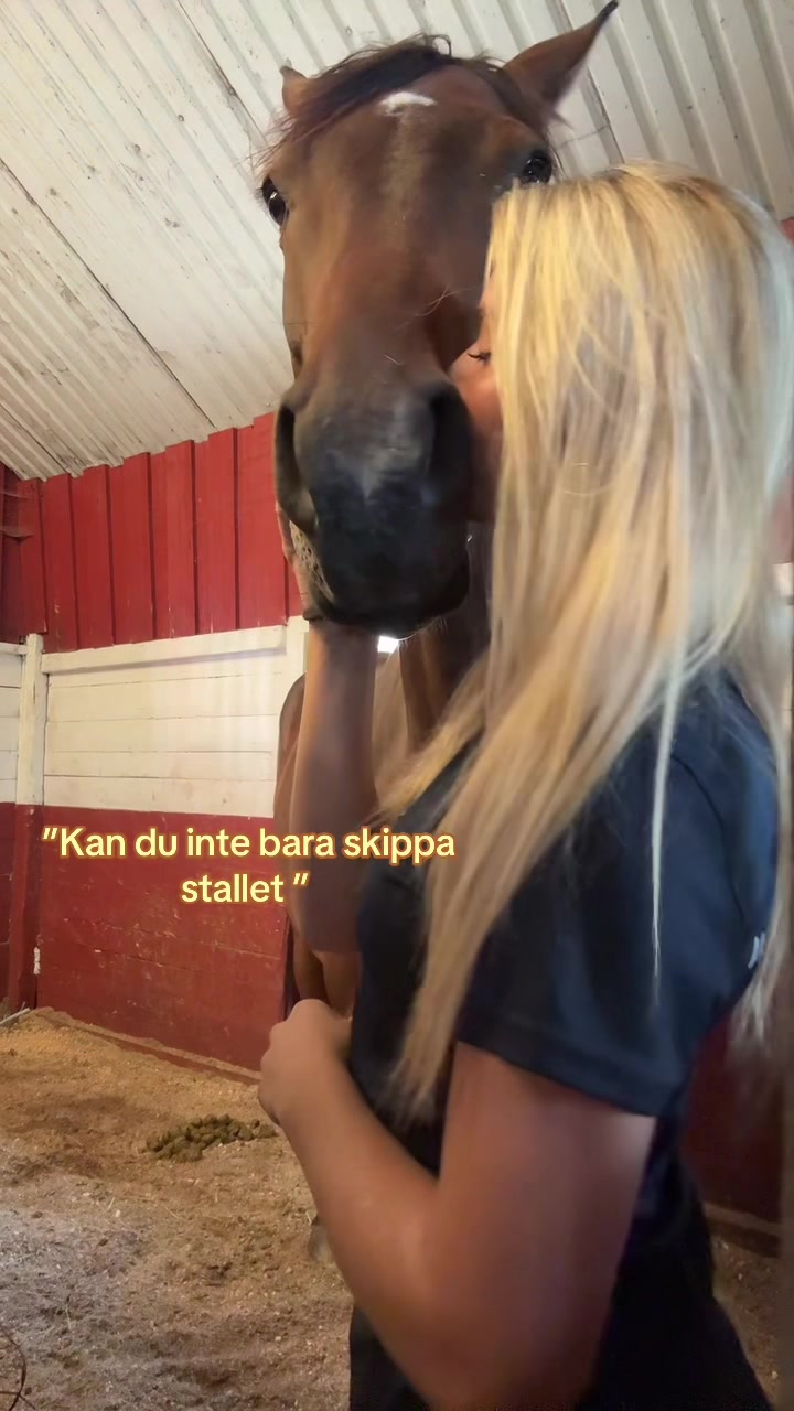 @Cindy foxenius