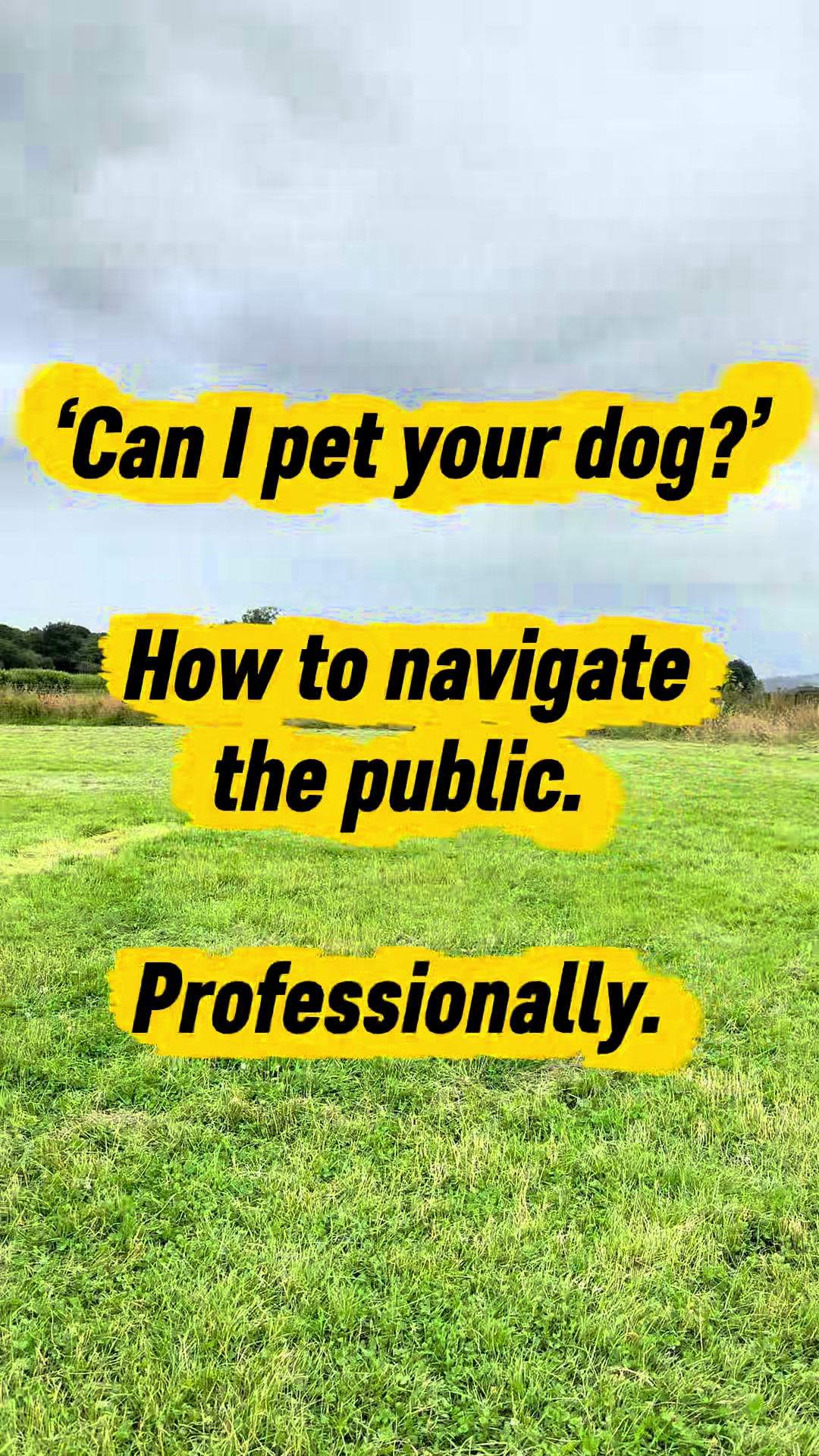 @Valleys Dog Training